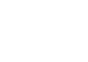 Grupo Puma Abanderado